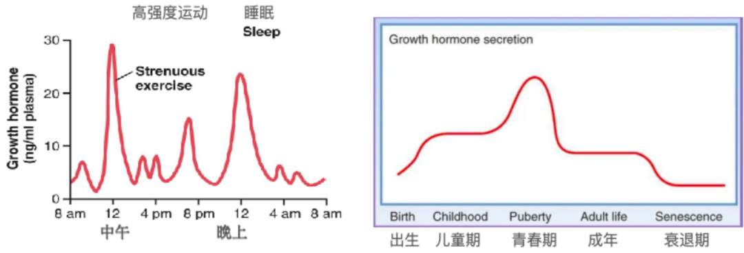 提前干预