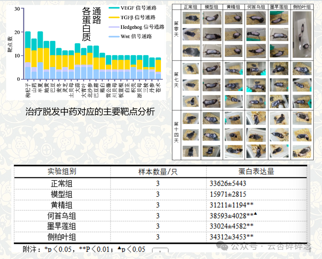 脱发相关动物实验资料图