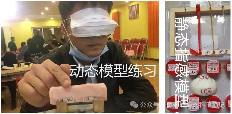 三九脉法模型