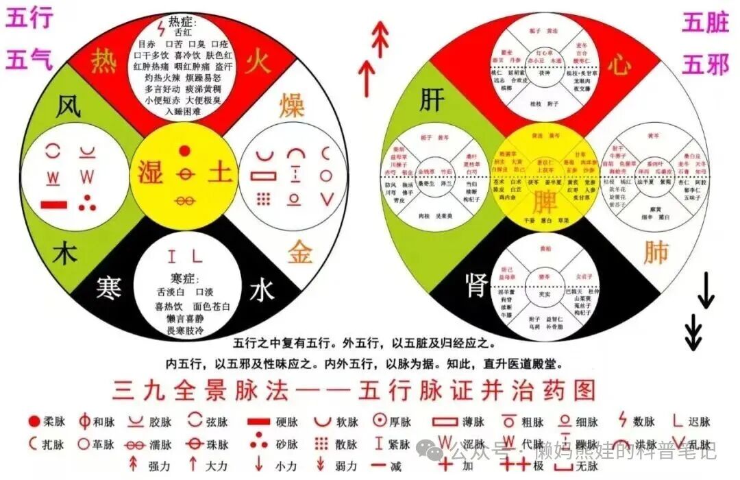 乃清礼医师坐诊