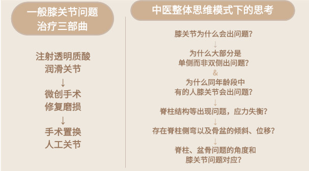 整体观示意